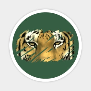 The tiger, a symbol of the new year. Magnet